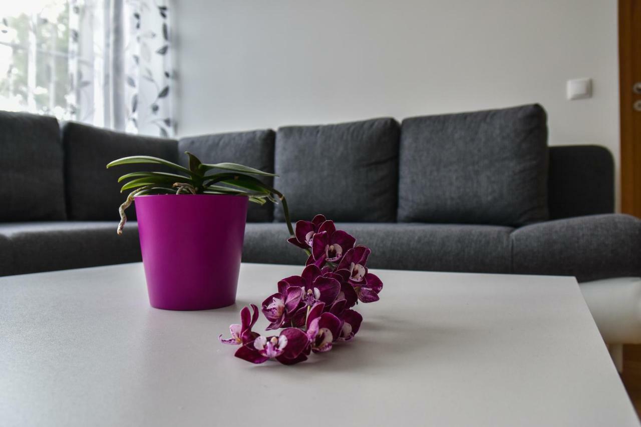 Mardi Downtown Apartment Tallinn Buitenkant foto